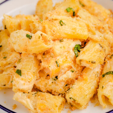 plateful of cheesy baked rigatoni