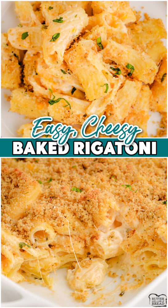 Simple Cheesy Baked Rigatoni with a simple cream sauce, 4 types of cheese, topped with buttery breadcrumbs & baked until hot and bubbly!