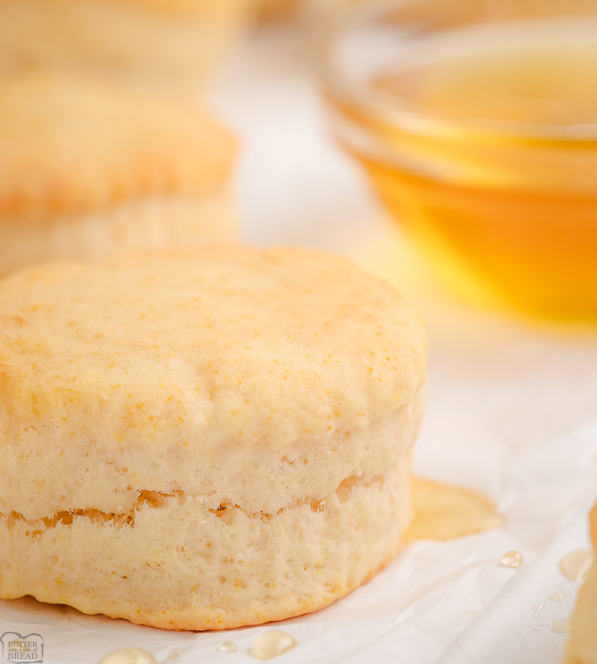 homemade biscuits