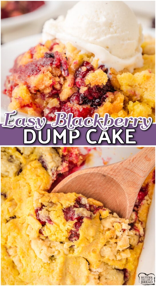 Blackberry Dump Cake made with just 4 ingredients, a yellow cake mix, butter, sugar and fresh blackberries for a tasty, homestyle cake that is even better topped with ice cream!
