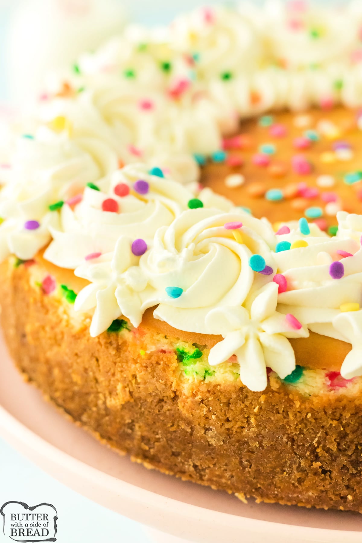 Funfetti cheesecake topped with whipped cream and rainbow sprinkles
