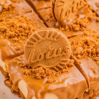 no bake cookie butter cheesecake slice