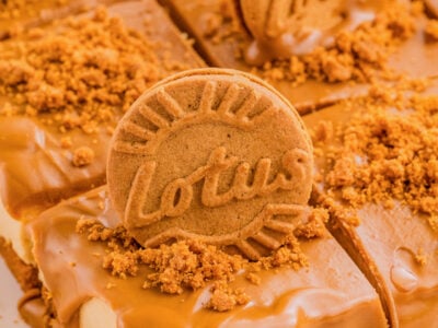 no bake cookie butter cheesecake slice