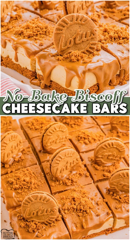 No Bake Biscoff Cheesecake Bars made with a buttery Biscoff crust & rich, airy, cheesecake filling with warm caramelized cookie flavor, then finished with a silky cookie butter drizzle!