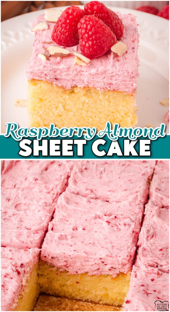 Almond Raspberry Cake made with classic ingredients & topped with a delightful raspberry buttercream frosting with lovely bright flavors! Homemade sheet cake perfect for any occasion!